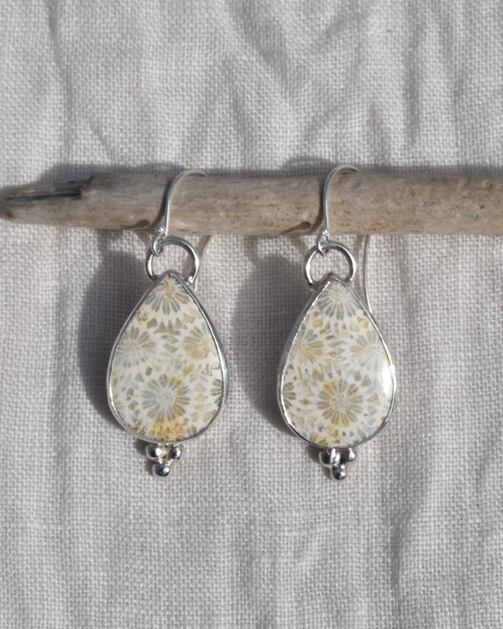 Fossil Coral Earrings