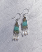 Opalised Wood Earrings