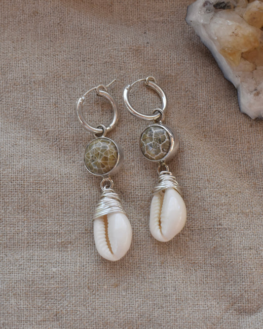 Fossil Coral & Shell Earrings