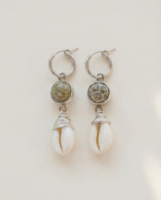Fossil Coral & Shell Earrings